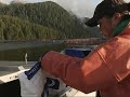 Marine Harvest and Klemtu : Ten Years Marine Harvest and Klemtu : Ten Years
