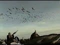 Danger Zone Lubbock , Tx. Goose hunting