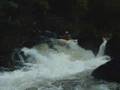Landro clasico.WMV