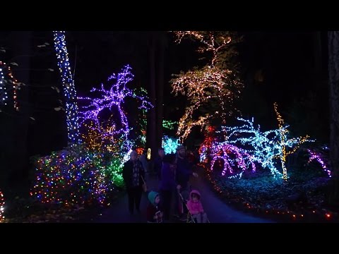 Shining a Light on Community Service: The Powering America Team Installs Holiday Lights from Coast-to-Coast