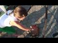 videos de Bajai Halászléfőző fesztivál 2008