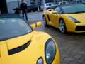 Lamborghini Gallardo Spyder, Ferrari 355 Spider, and Lotus Elise