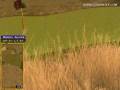videos de Golden Tee Great Shot on Grand Savannah!