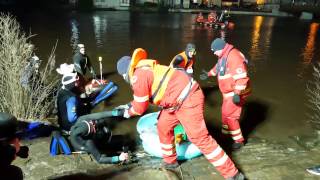 49. Allerschwimmen in Celle 2017