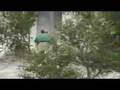 Montage Vtt
