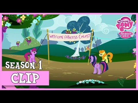 Preparing for Celestia's Visit “Swarm of the Century” 