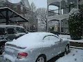 Dallas Snow - Mar 2008
