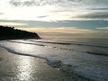 Video: Sweet Swell Off Bluff Cove, Palos Verde