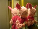Isis meets Piglet Isis meets Piglet