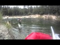 Fly Fishing the Cowichan River for Steelhead and Trout. ~ RamblingFisherman.com