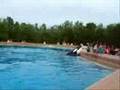 Orca Whale Splash Show at Marineland Canada