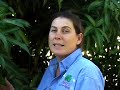 Grafting Fruit Trees