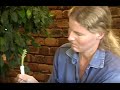 Grafting Fruit Trees