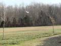 Maiden flight of Hobbyzone Super Cub with crash.