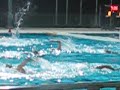 Un anno di pallanuoto