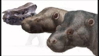 Pantodonts: The First Large Mammalian Herbivores