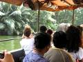 Jungle River Cruise - Hong Kong Disneyland