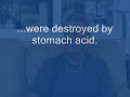 Glutathione's Power to Heal  Cancer Alternative Therapy Antioxidants