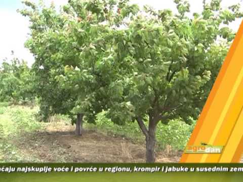 AgroDan 18.06.2013.