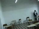 Fede 