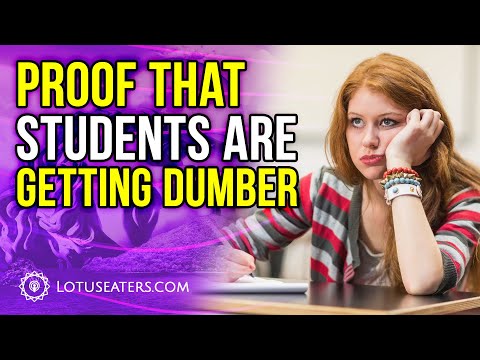 How Did University Students Become So Stupid?