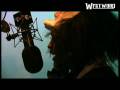 Westwood - JME freestyle 1Xtra