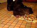 Buffalo Boots 1345 vs. Bananen