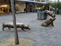 ADELAIDE: IT\