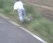 karnage skate dans lherbe