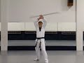Extreme Martial Arts Tricks, Falls, 540 Sword Kick