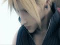 Final mizer