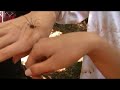 Aranha Aranha
