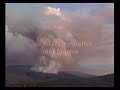 Tasmanie forêts primaires et ses habitants