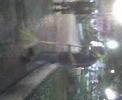 anarko BARRELE en chiapas!