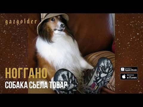 Ноггано - Собака съела товар