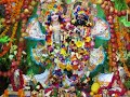 Vrindavan Kartik