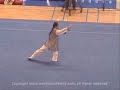some of my favourites taijiquan moves