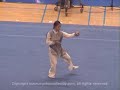 some of my favourites taijiquan moves