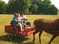mayci riding in Horse carriage by her Uncle Randy
