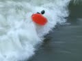 Kayak foamies