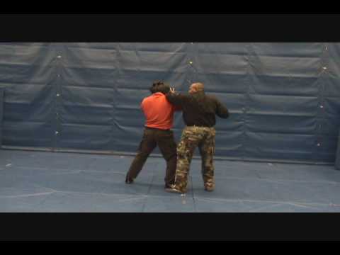 0 How to Be a Cop: Learning Self Defense