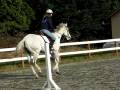 videos de Sarah & Sterling - Nov. 23, 2008