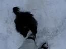 Glenwood Springs winter \
