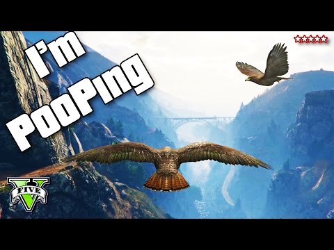 Watch Chasing Birds Online Facebook