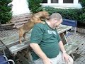 Chico and our friend Mark