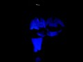 Baby got back neon exclusive