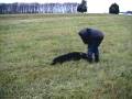 videos de Gala Tracking - Part 1