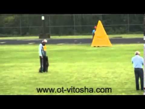 obedience competition