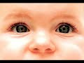 4/6 - What is a Human Being