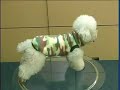 PROGRAMA PET E CIA - ROUPAS CANINAS PROGRAMA PET E CIA - ROUPAS CANINAS